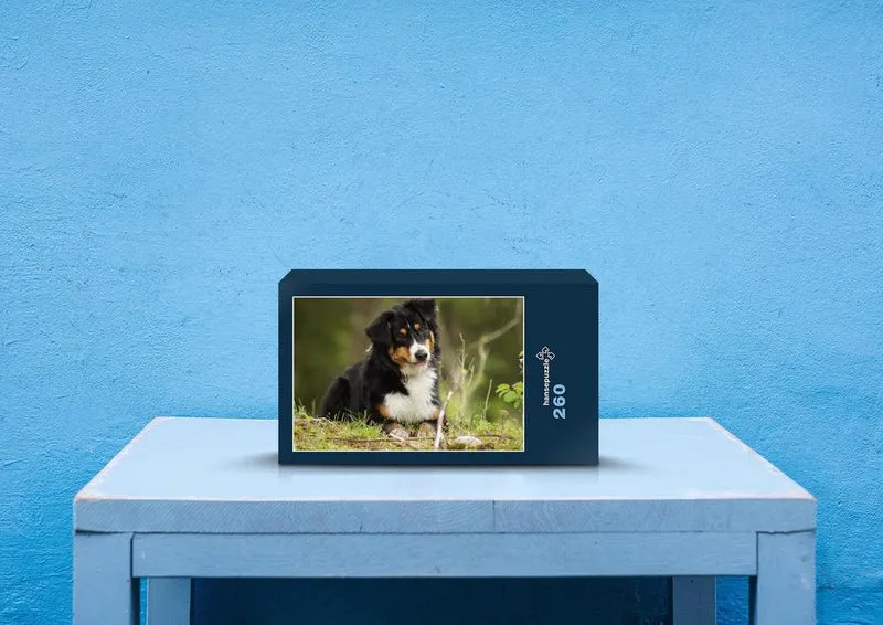 35395 Tierwelt - Hund Puzzle