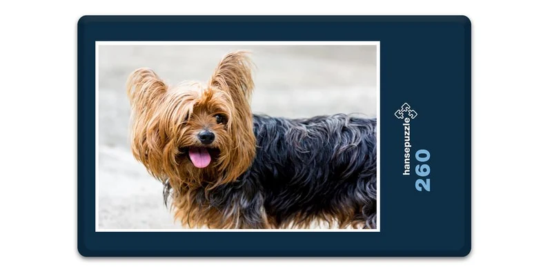 18068 Tierwelt - Terrier Puzzle