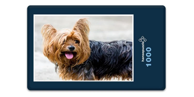18068 Tierwelt - Terrier Puzzle