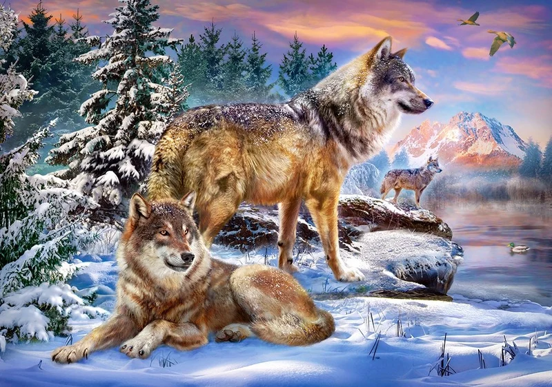 Wolfish Wonderland, Jan Patrik Krasny