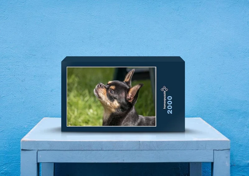 34712 Tierwelt - Chihuahua Puzzle