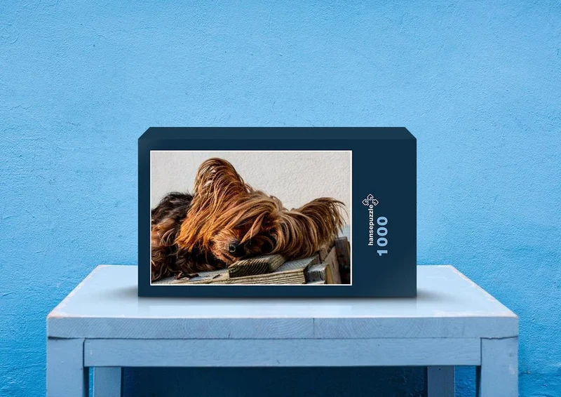 34707 Tierwelt - Yorkshire terrier Puzzle