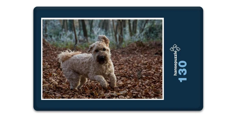 19064 Tierwelt - Terrier im Laub Puzzle