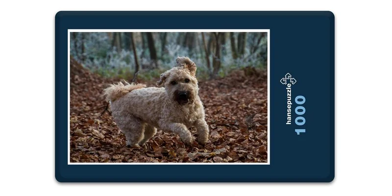 19064 Tierwelt - Terrier im Laub Puzzle