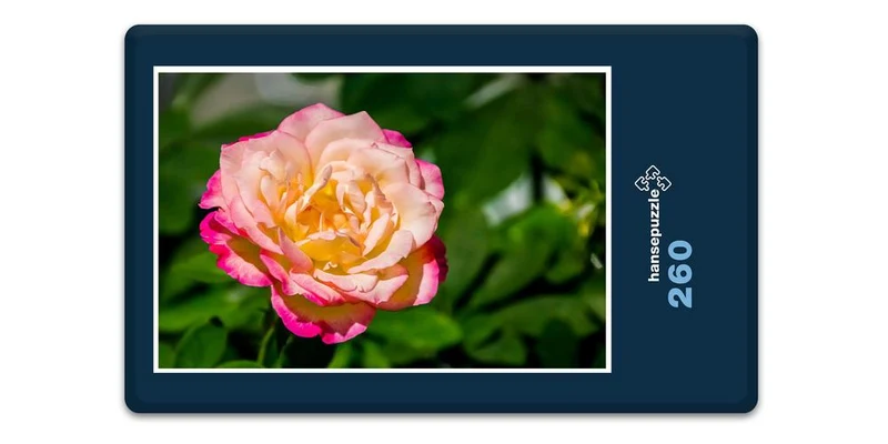 18228 Natur - Rose Puzzle