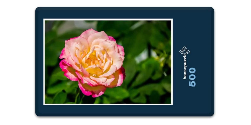 18228 Natur - Rose Puzzle