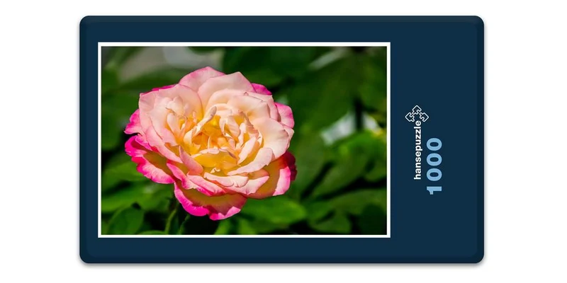 18228 Natur - Rose Puzzle