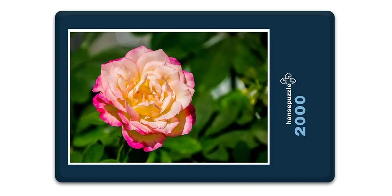 18228 Natur - Rose Puzzle