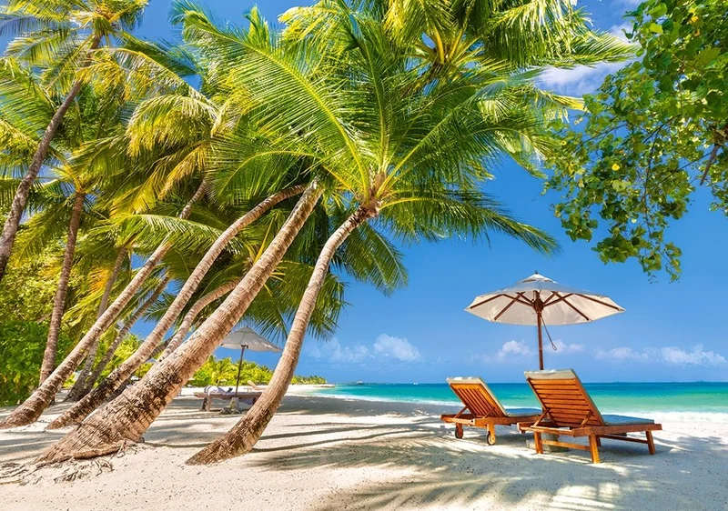 Leisure in Paradise