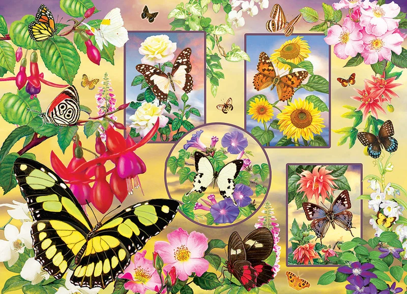 Butterfly Magic, Rosiland Solomon