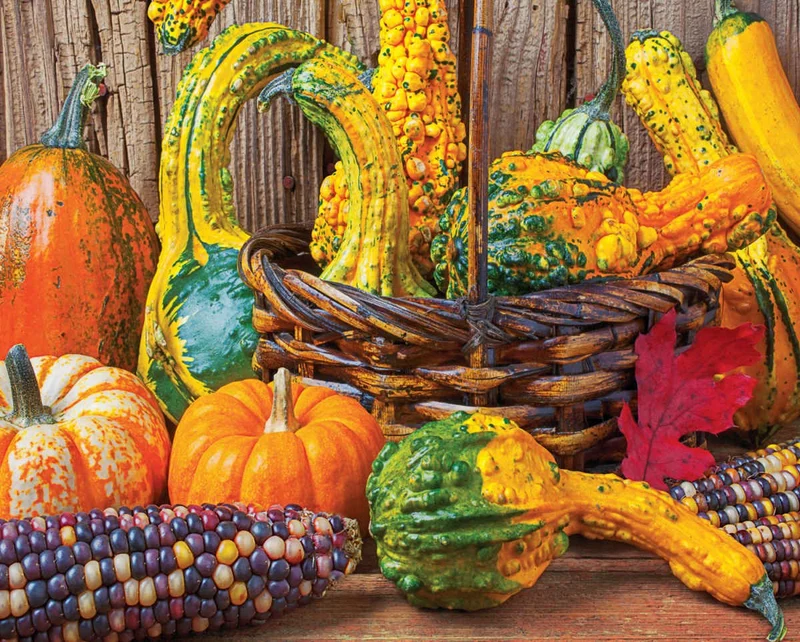 Harvest Colors, Garry Gay