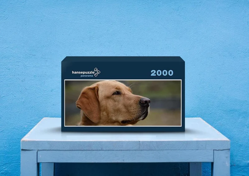 34573 Tierwelt - Labrador Puzzle