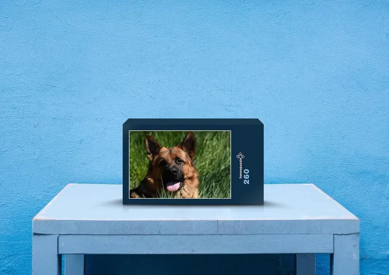 34563 Tierwelt - Schäferhund Puzzle