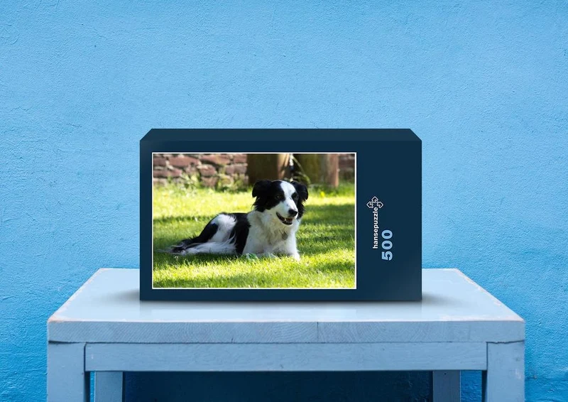 34552 Tierwelt - Hund Puzzle