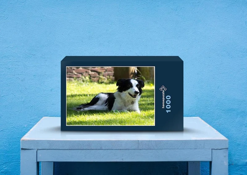 34552 Tierwelt - Hund Puzzle