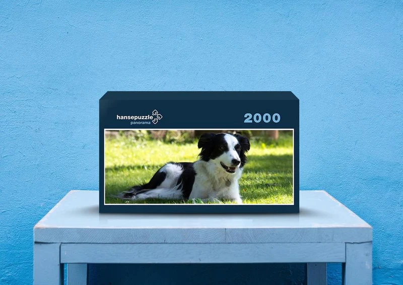 34552 Tierwelt - Hund Puzzle
