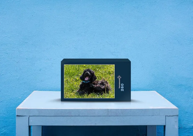 35263 Tierwelt - Hund Puzzle