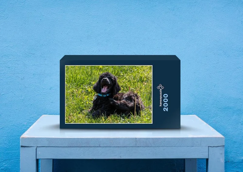 35263 Tierwelt - Hund Puzzle