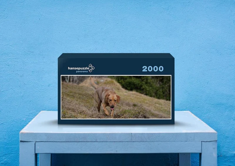 35257 Tierwelt - Labrador Puzzle