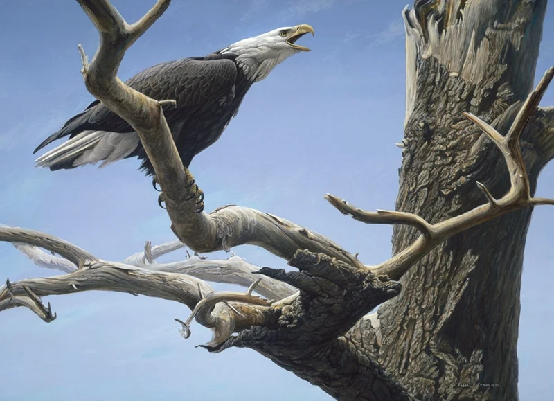 Call of the Wild, Robert Bateman