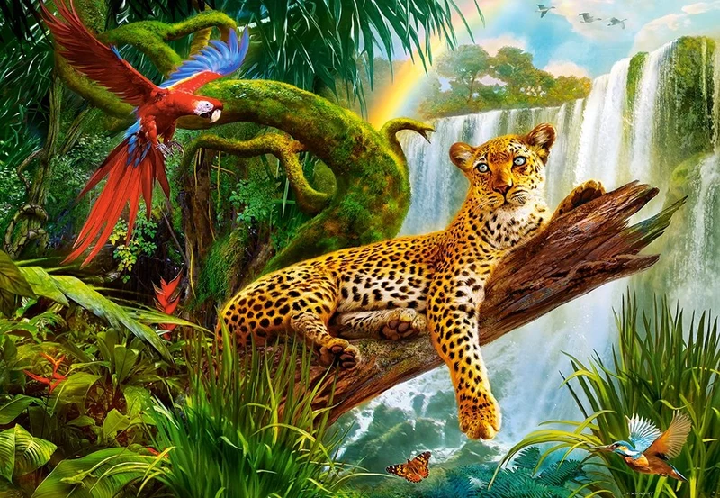 Resting Leopard, Jan Patrik Krasny