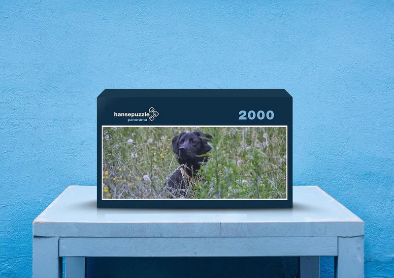 34670 Tierwelt - Labrador Puzzle