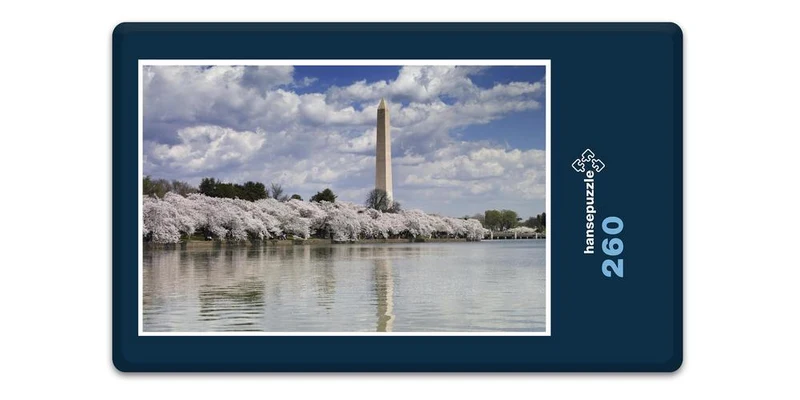 18165 Gebäude - Washington Puzzle
