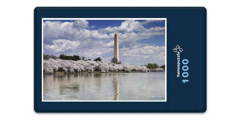 18165 Gebäude - Washington Puzzle