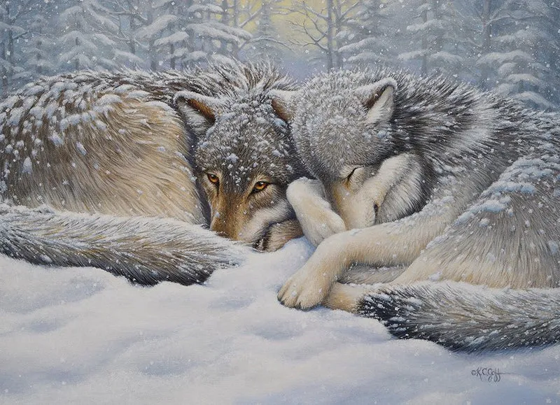 Winter Repose, Kathy Goff