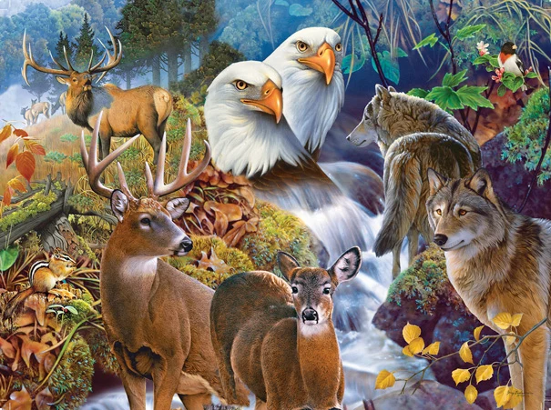 Forest Neighbors, Jerry Gadamus