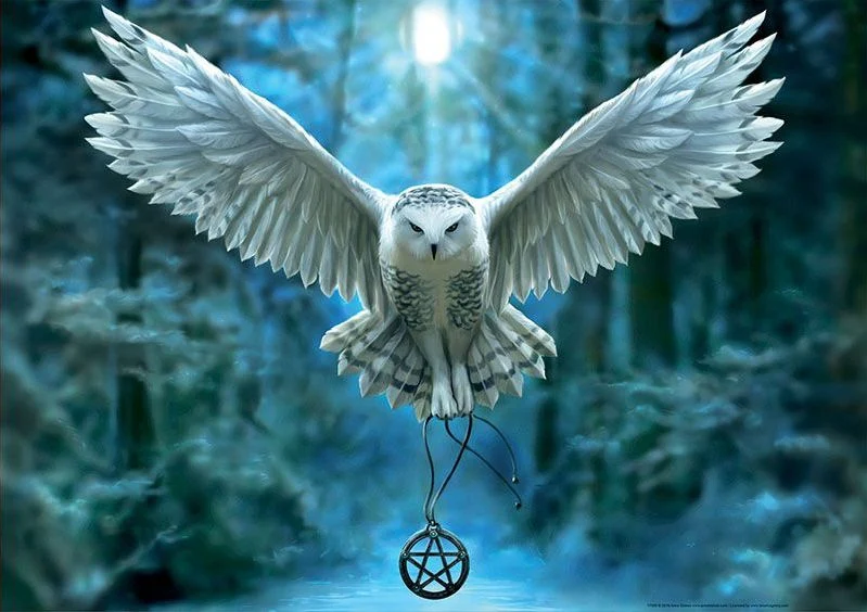Anne Stokes - Awake Your Magic