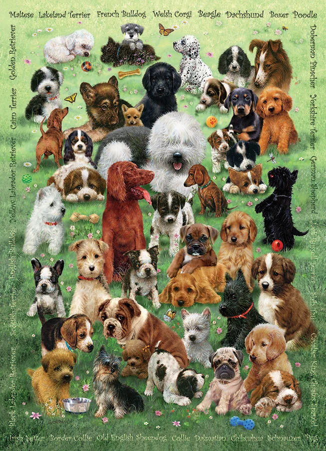 Puppy Love, Greg Giordano (Family Puzzle)