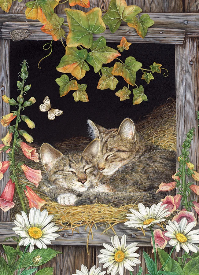 Sisters, Jane Maday