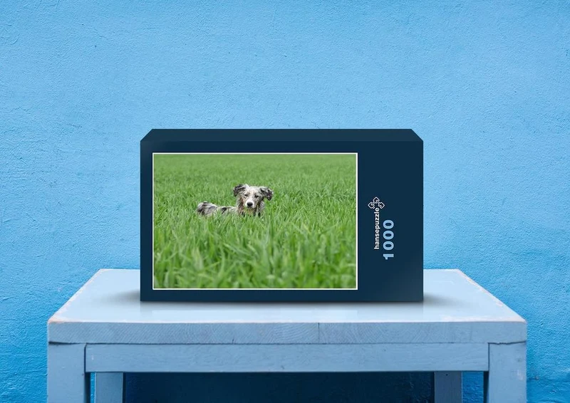 29888 Tierwelt - Hund Puzzle