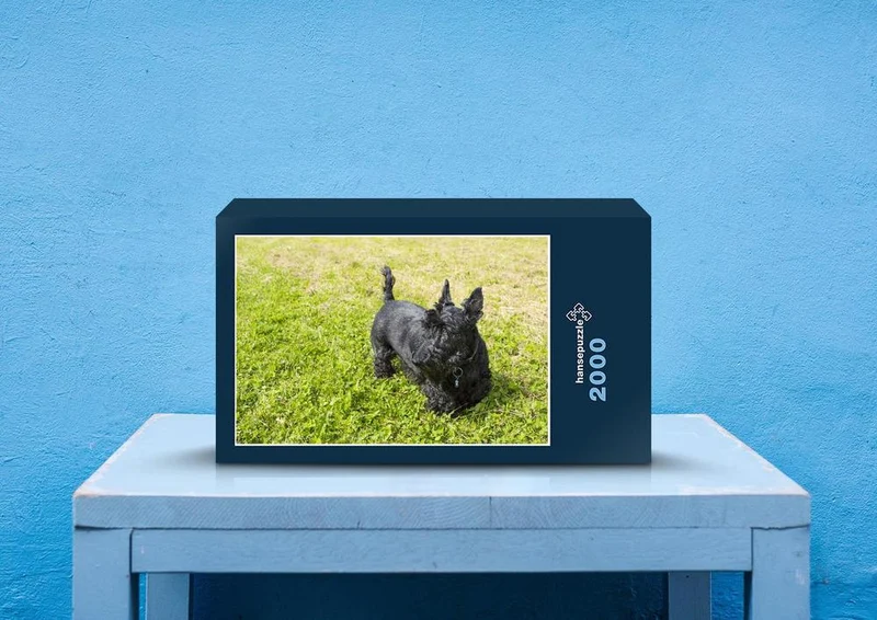 35252 Tierwelt - Terrier Puzzle