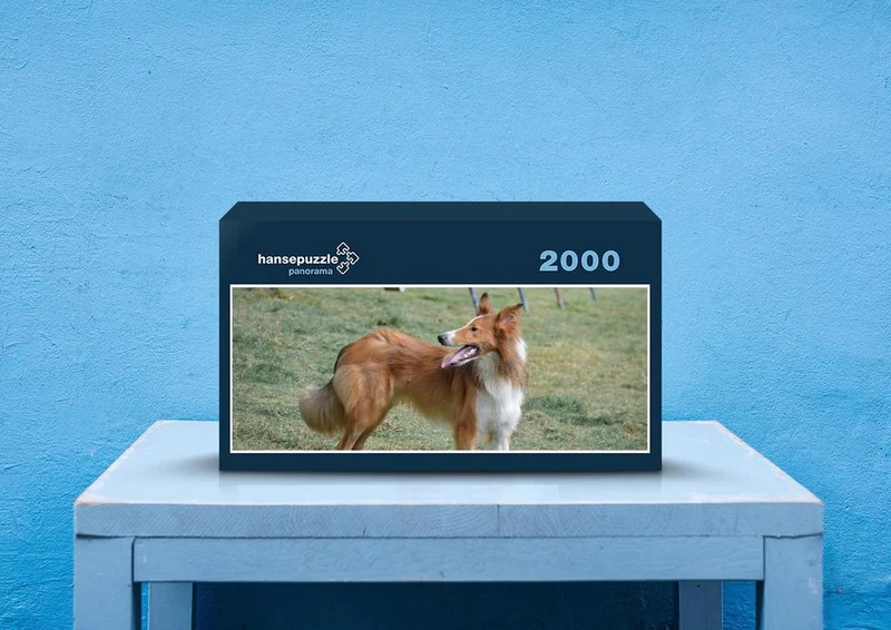 35246 Tierwelt - Collie Puzzle