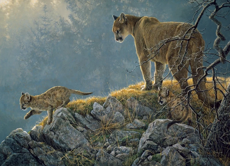 Excursion - Cougar and Kits, Robert Bateman (Family Puzzle)