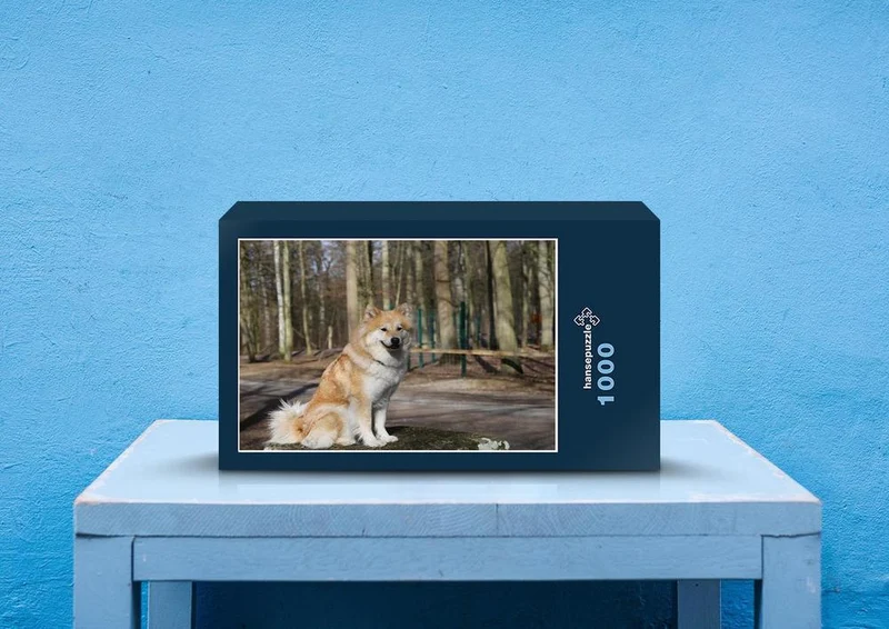 30568 Tierwelt - Eurasier Puzzle