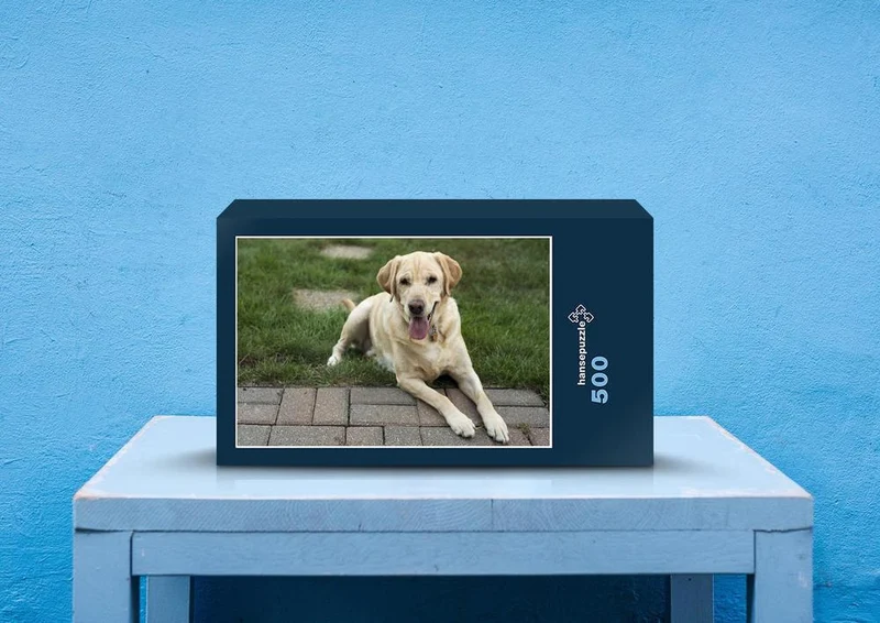 34660 Tierwelt - Labrador Puzzle