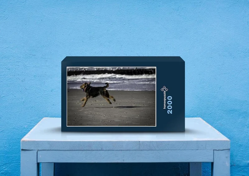 35187 Tierwelt - Hund am Strand Puzzle