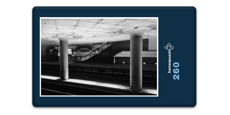 18163 Gebäude - Pentagon City Puzzle