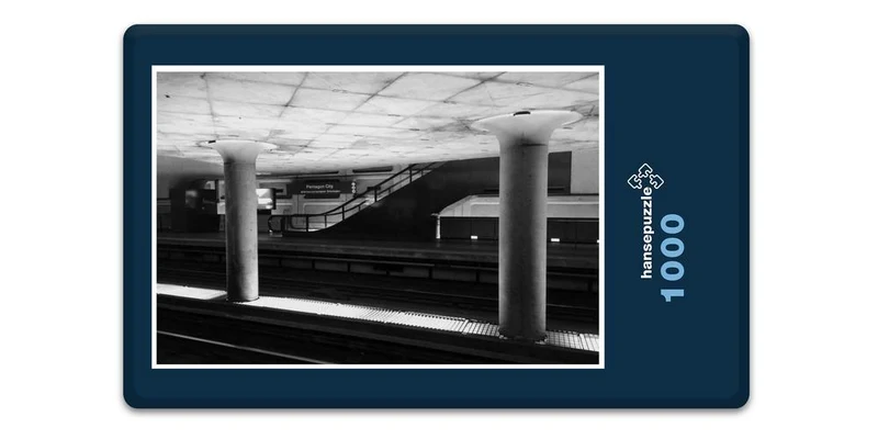 18163 Gebäude - Pentagon City Puzzle