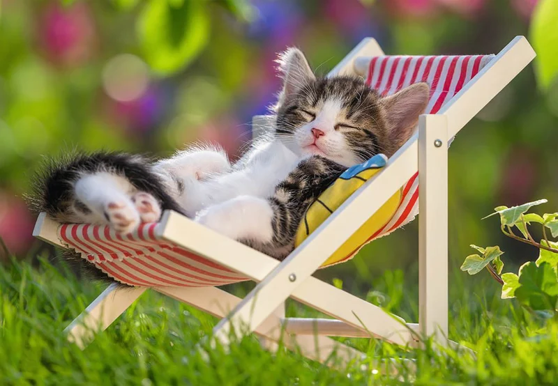 Ravensburger Sleppy Kittens (Chatons au repos)