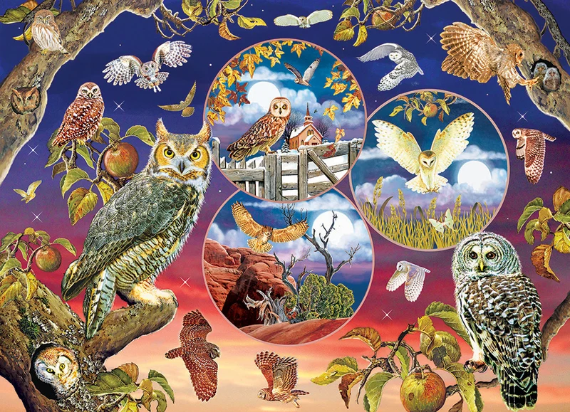 Owl Magic, Rosiland Solomon