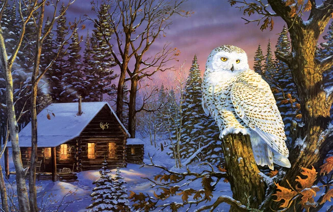 Night Watch, Terry Doughty