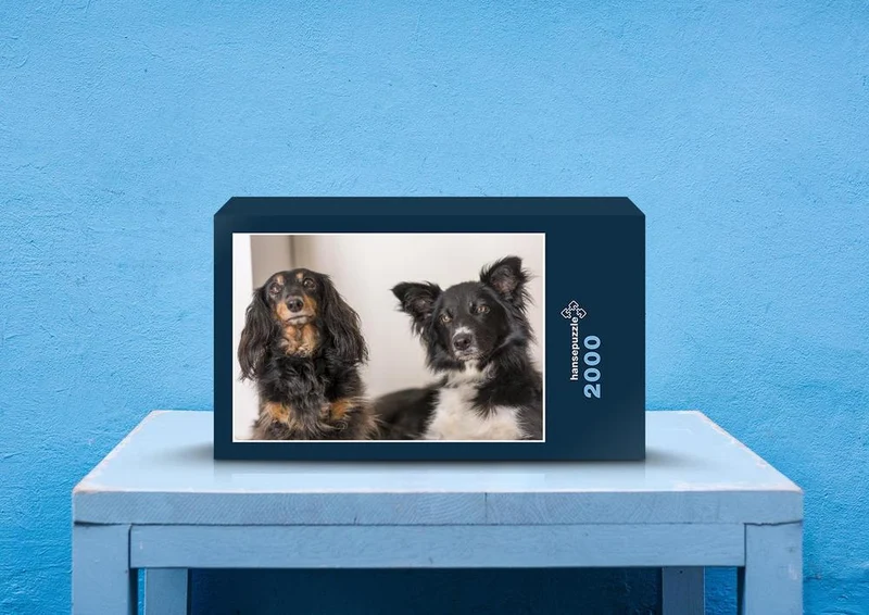 34506 Tierwelt - Hunde Puzzle