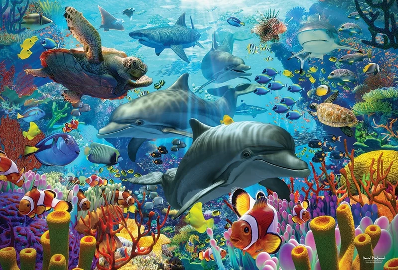 Coral Sea, David Penfound