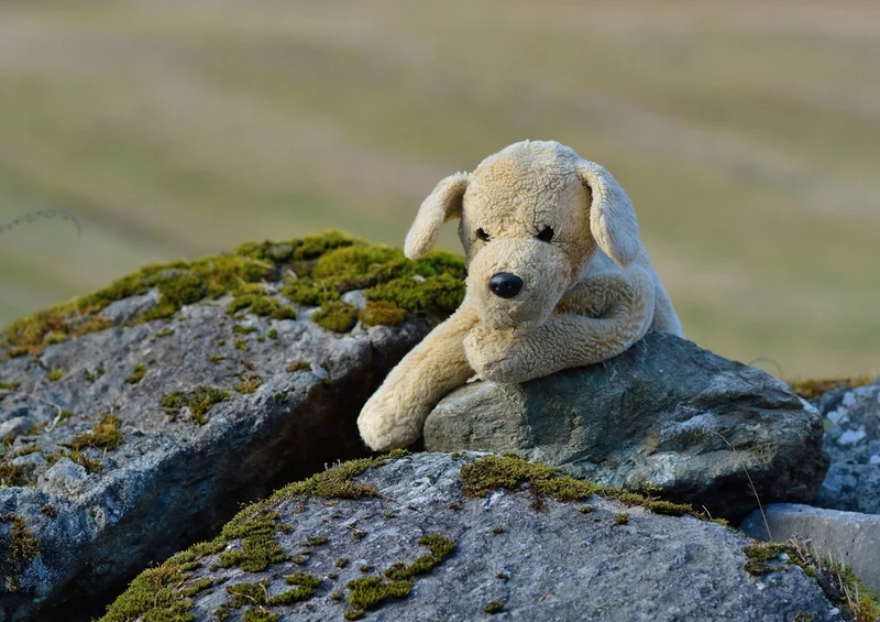 34650 Tierwelt - Kuscheltier Puzzle