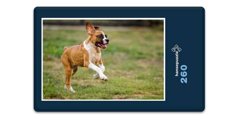 18067 Tierwelt - Hund Puzzle
