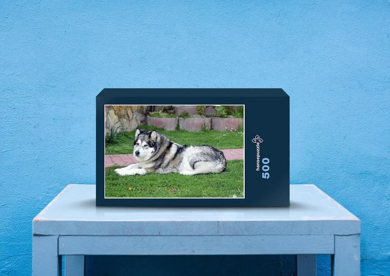 30869 Tierwelt - Huskie Puzzle